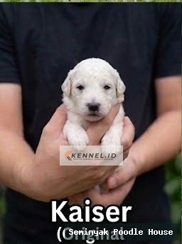 Kaiser